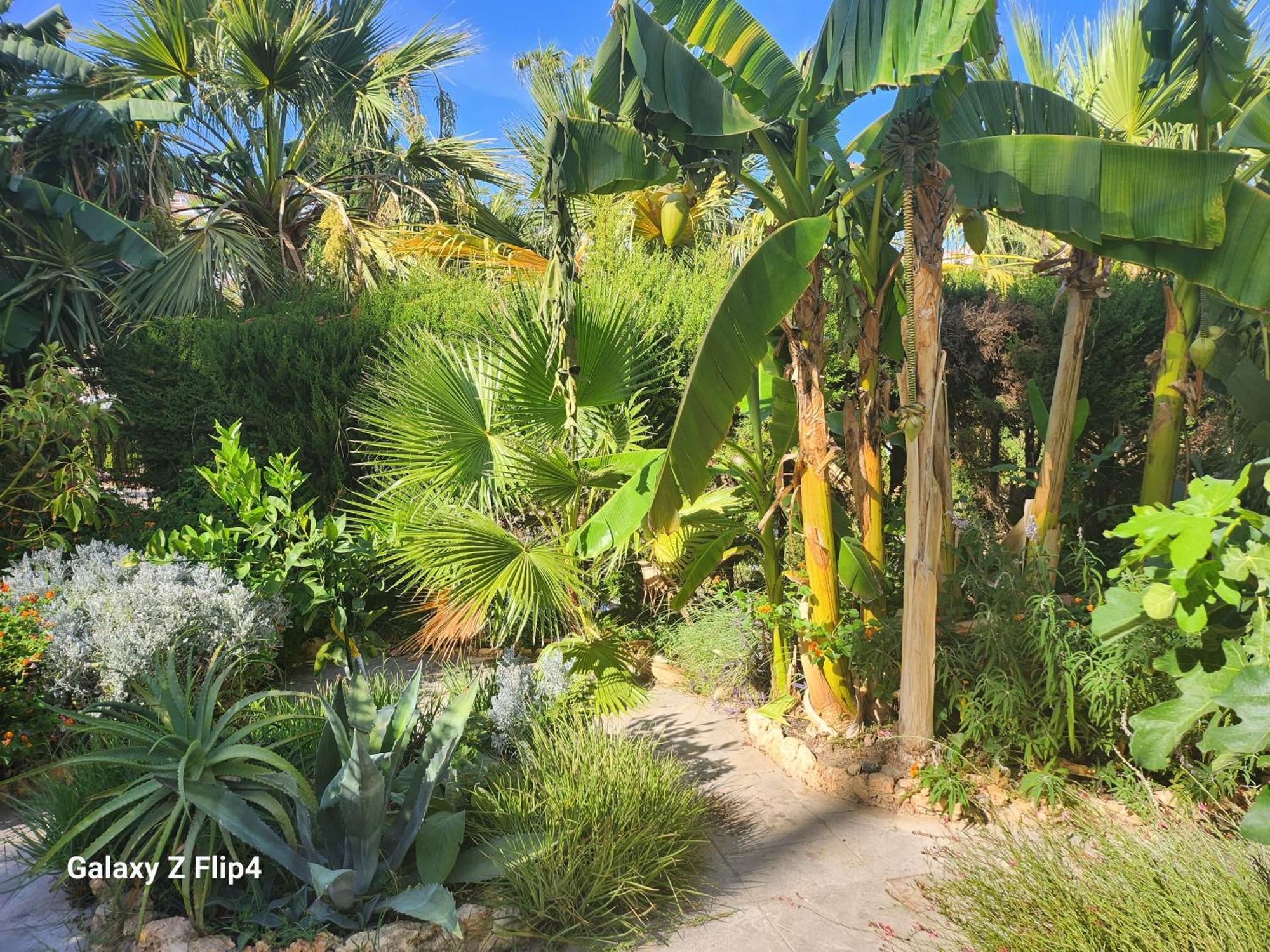 Deluxe Studio Athos 50 Mp Garden Patio Benalmadena Golf & Beach Buitenkant foto