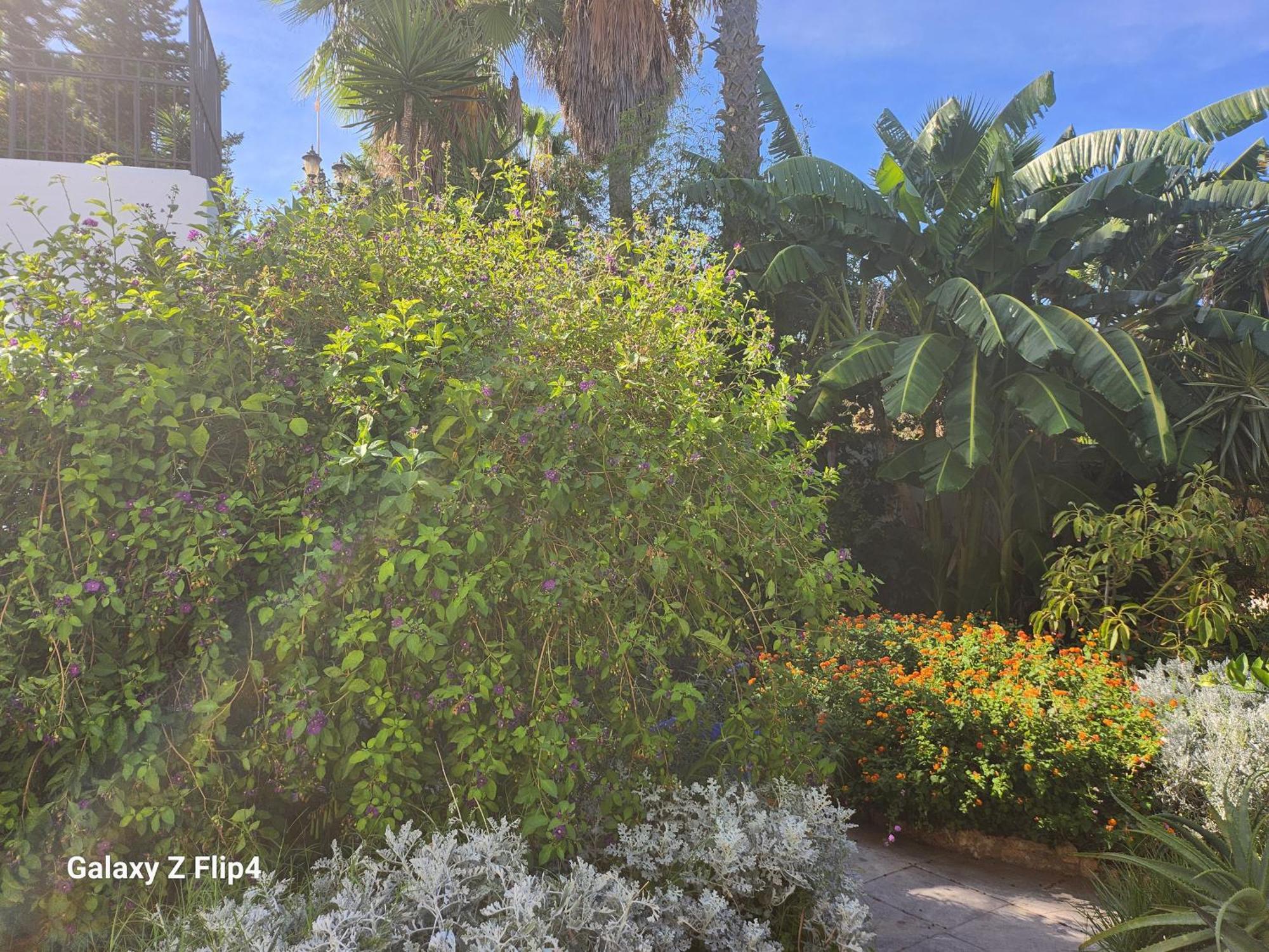 Deluxe Studio Athos 50 Mp Garden Patio Benalmadena Golf & Beach Buitenkant foto